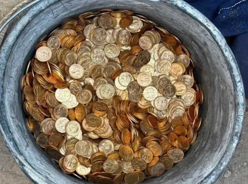 746036_O.jpg