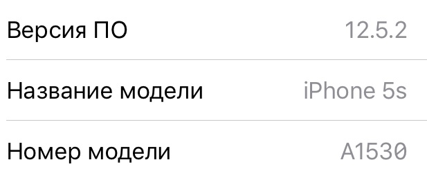 Установленная iOS 12.5.2 на iPhone 5s A1530