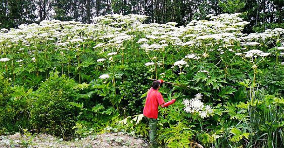 Источник фото: picabu.ru