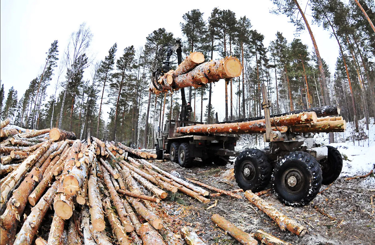 Источник фото: lv.sputniknews.ru