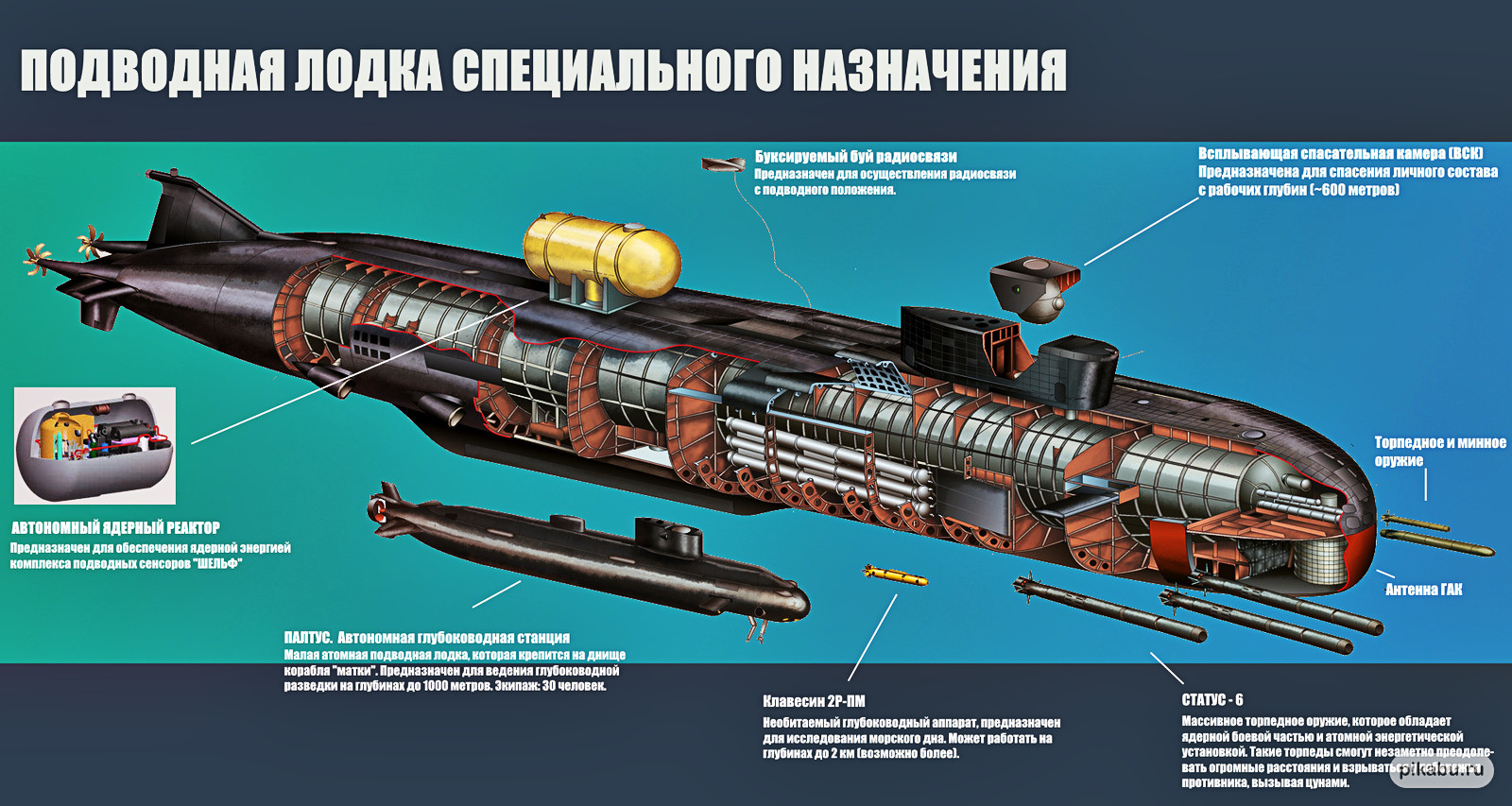 Источник фото: pikabu.ru