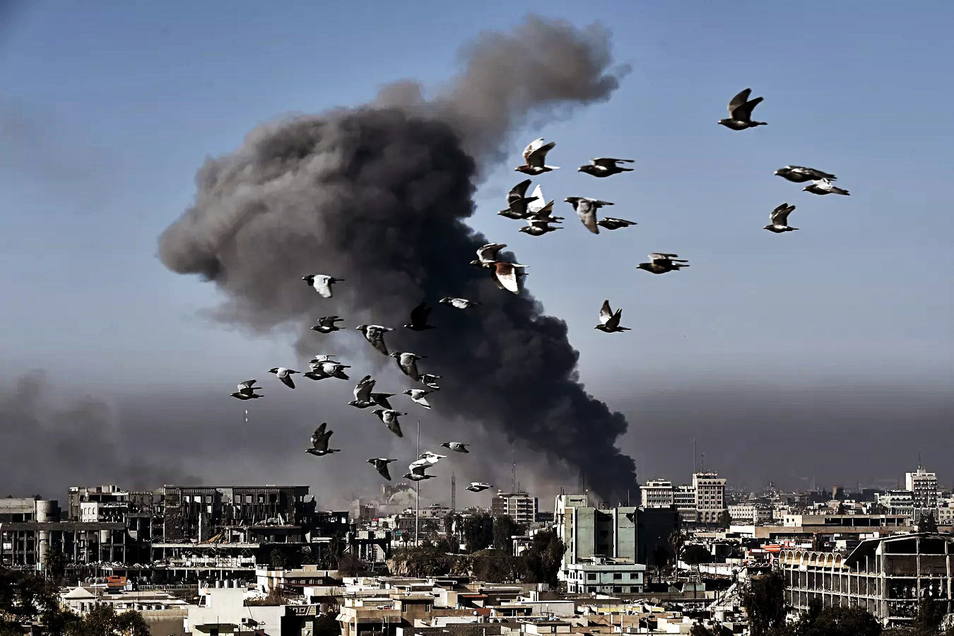 Источник фото: ria.ru